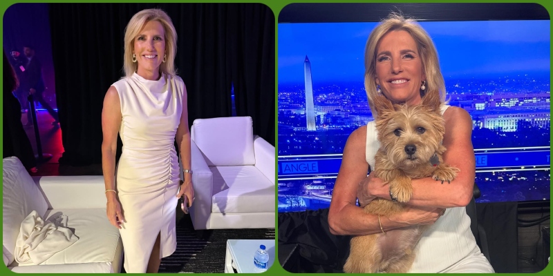 Laura Ingraham professional and personal life information